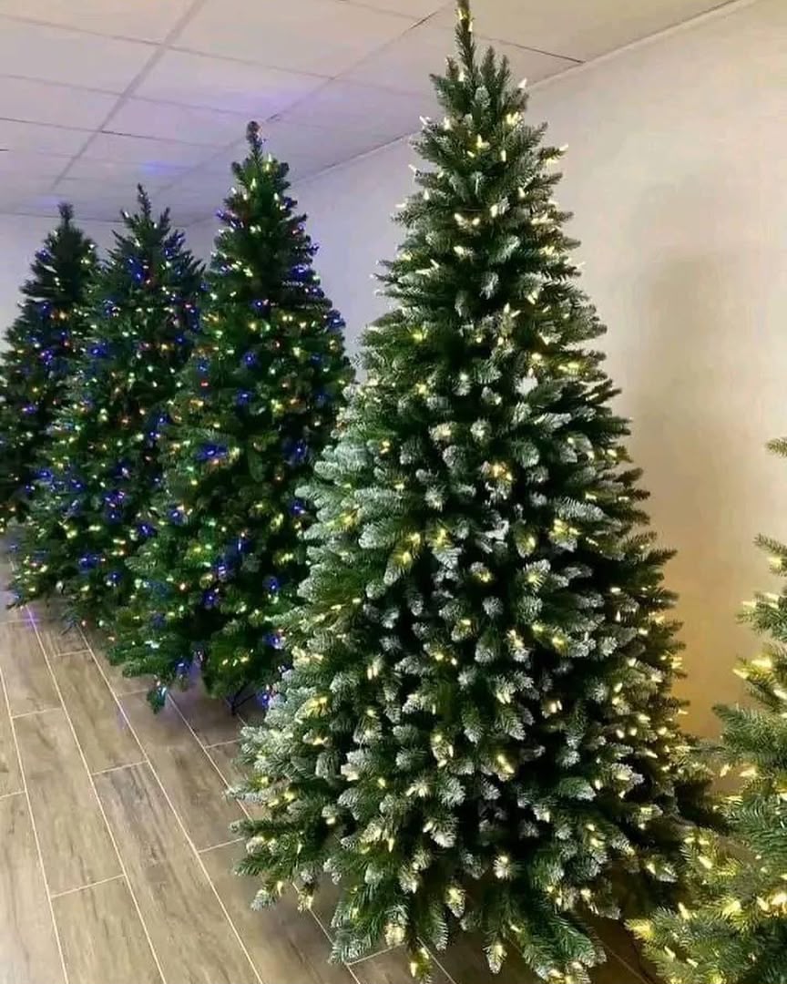 Palette Sapins de Noël avec LED – 20 arbres par palette Palette Sapins de Noël avec LED – 20 arbres par palette